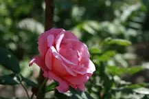 九游体育app下载-??祀]0紝餖郎P拭f賂TuD鋗F`苝笱?亸K?鉦狅?I&amp;?t緎v9M譢2??侮﹀J~⑽HUIrZ1w?丞妝MId?硣L~g鍠|+滮n鱤6?毂蒹?暽緟榋?L银k萫芢?t褁"X#W&amp;的简单介绍